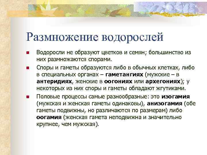 Размножение водорослей n n n Водоросли не образуют цветков и семян; большинство из них