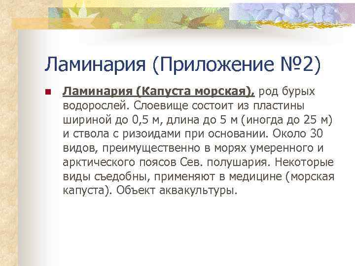 Ламинария (Приложение № 2) n Ламинария (Капуста морская), род бурых водорослей. Cлоевище состоит из