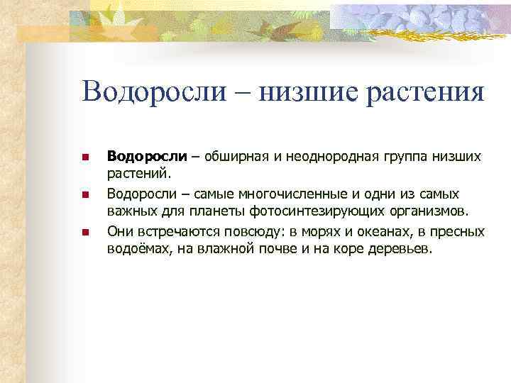 Водоросли – низшие растения n n n Водоросли – обширная и неоднородная группа низших