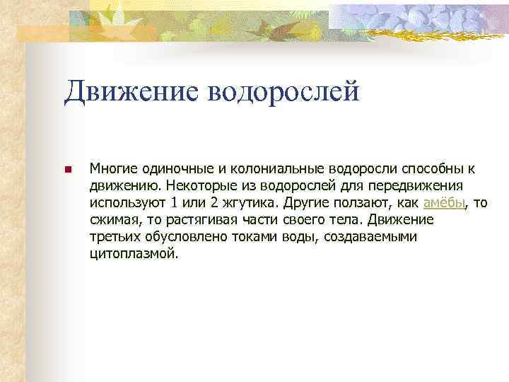 Движение водорослей n Многие одиночные и колониальные водоросли способны к движению. Некоторые из водорослей