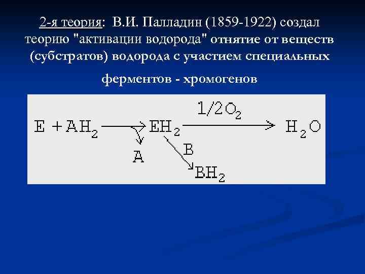 2 -я теория: В. И. Палладин (1859 -1922) создал теорию "активации водорода" отнятие от