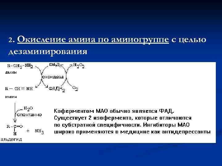2. Окисление амина по аминогруппе с целью дезаминирования 