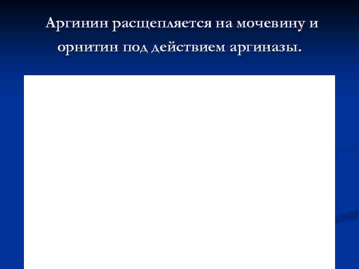 Аргинин расщепляется на мочевину и орнитин под действием аргиназы. 