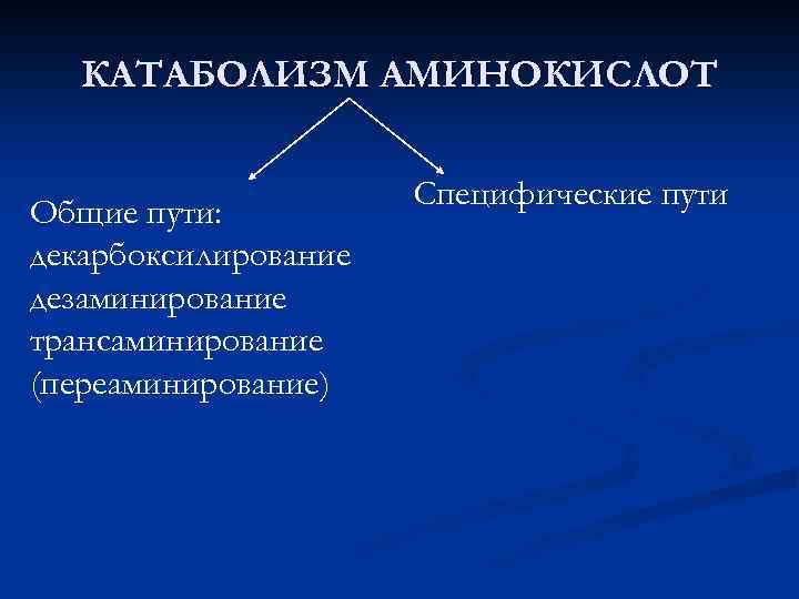 КАТАБОЛИЗМ АМИНОКИСЛОТ Общие пути: декарбоксилирование дезаминирование трансаминирование (переаминирование) Специфические пути 