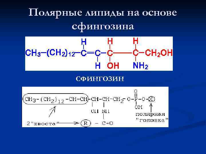 Полярные липиды на основе сфингозина СФИНГОЗИН 