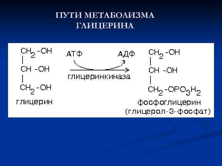 Пути метаболизма