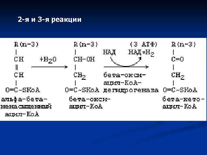 2 -я и 3 -я реакции 