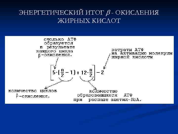 ЭНЕРГЕТИЧЕСКИЙ ИТОГ - ОКИСЛЕНИЯ ЖИРНЫХ КИСЛОТ 
