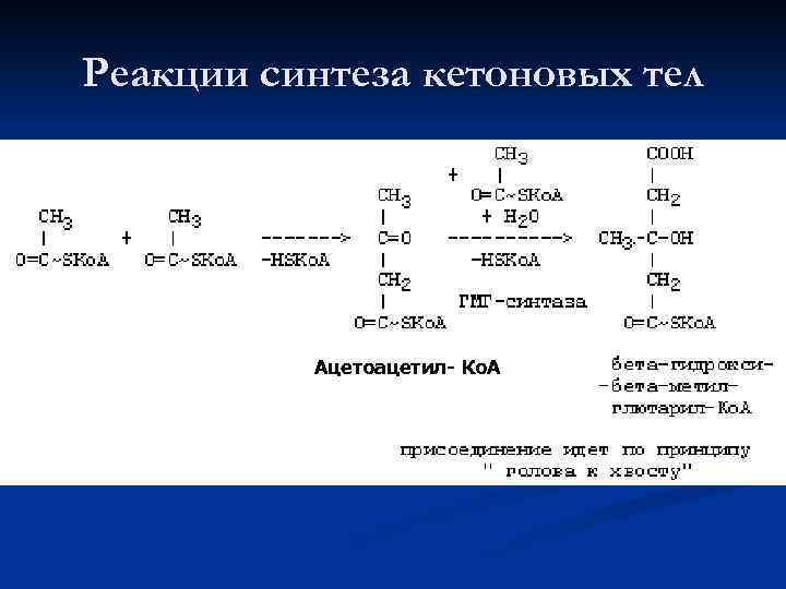 Реакции синтеза кетоновых тел Ацетоацетил- Ко. А 