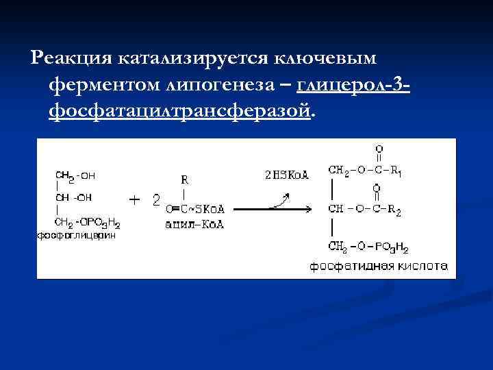 Какой фермент катализирует реакцию