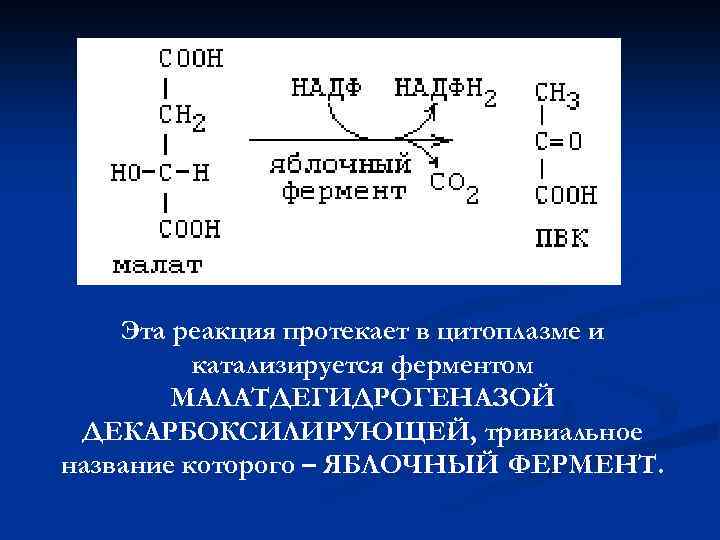Эта реакция протекает в цитоплазме и катализируется ферментом МАЛАТДЕГИДРОГЕНАЗОЙ ДЕКАРБОКСИЛИРУЮЩЕЙ, тривиальное название которого –