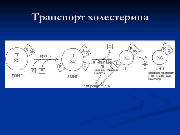 Транспорт холестерина 