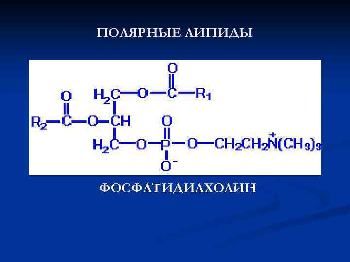 ПОЛЯРНЫЕ ЛИПИДЫ ФОСФАТИДИЛХОЛИН 