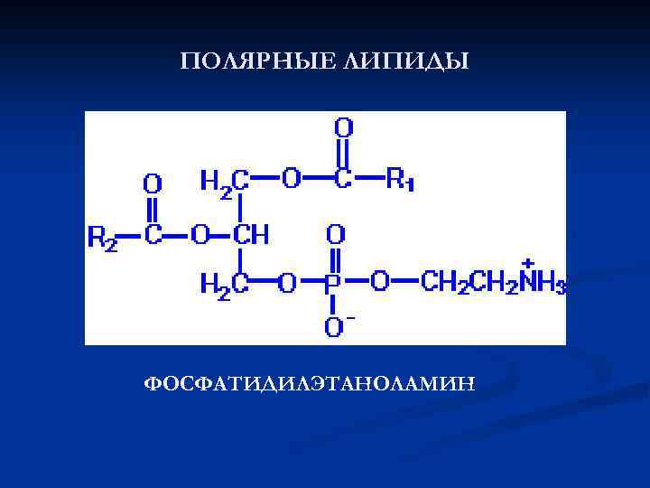 ПОЛЯРНЫЕ ЛИПИДЫ ФОСФАТИДИЛЭТАНОЛАМИН 