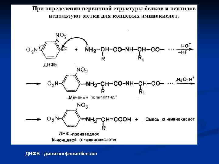 ДНФБ - динитрофенилбензол 