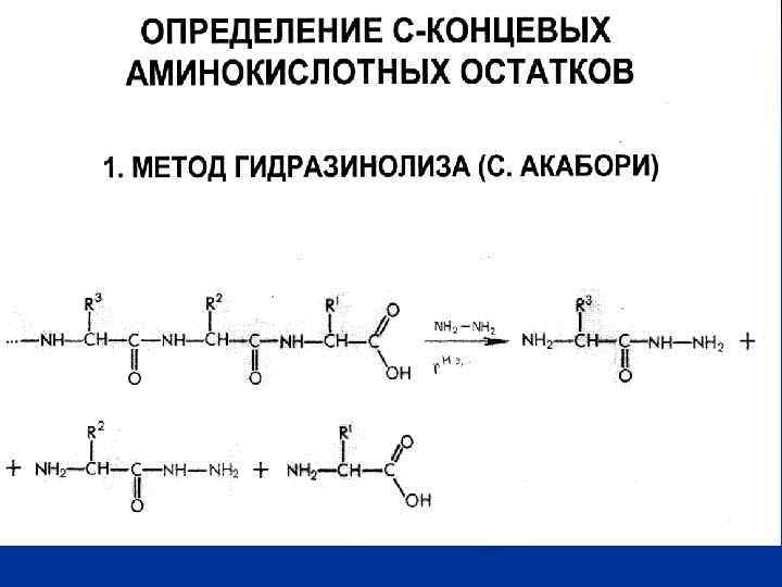 Методы определения состава белков