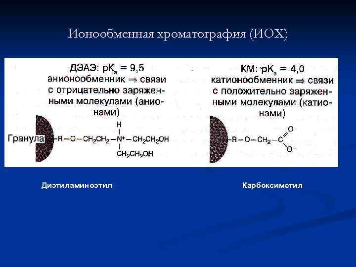 Ионообменная хроматография (ИОХ) Диэтиламиноэтил Карбоксиметил 