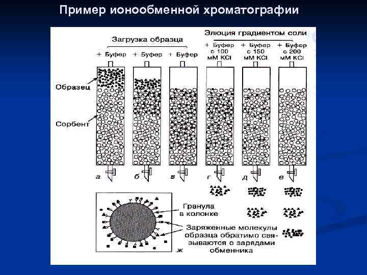 Пример ионообменной хроматографии 