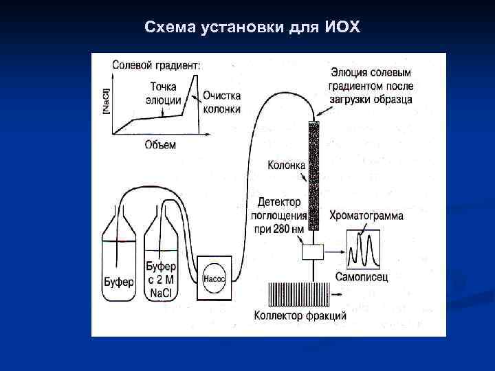 Ионообменная хроматография схема