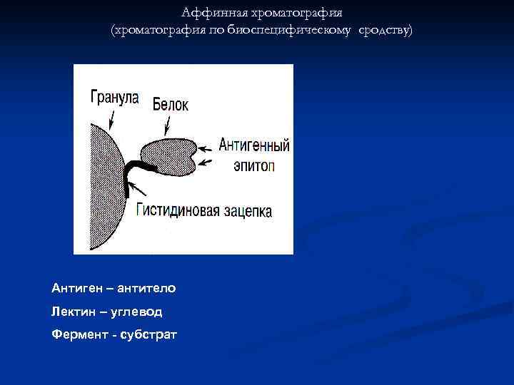 Аффинная хроматография (хроматография по биоспецифическому сродству) Антиген – антитело Лектин – углевод Фермент -