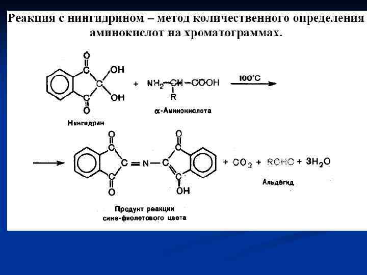 Глицин реагирует с анилином. Реакция глицина с нингидрином уравнение. Эфедрин с нингидрином реакция.