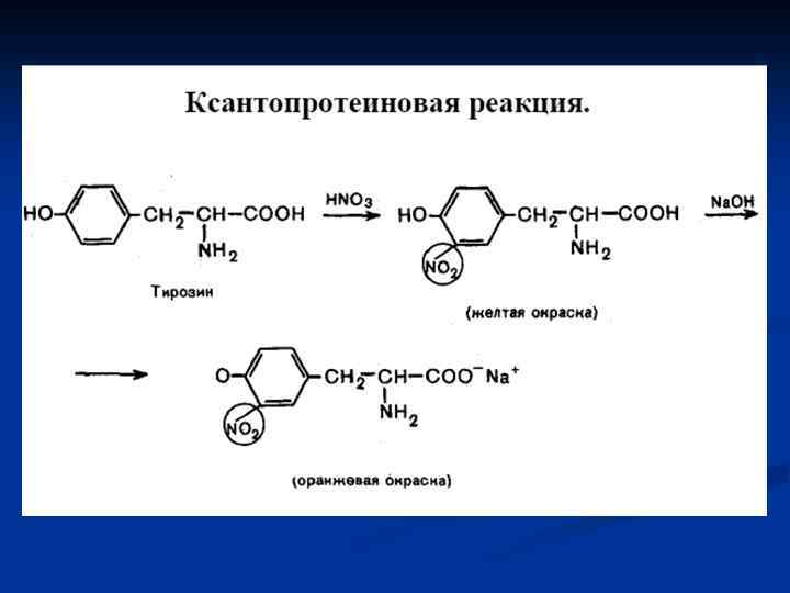 Ксантопротеиновая реакция рисунок