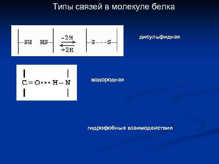 Типы связей в молекуле белка дисульфидная водородная гидрофобные взаимодействия 