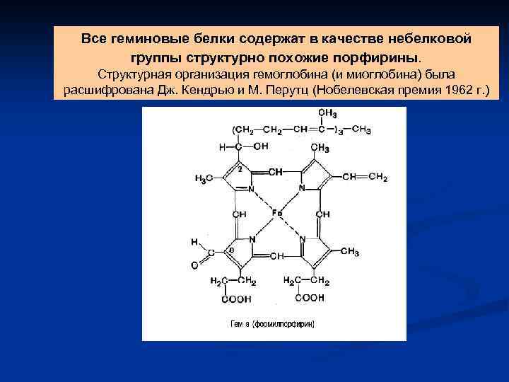 Все геминовые белки содержат в качестве небелковой группы структурно похожие порфирины. Структурная организация гемоглобина