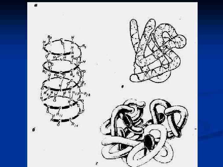 Какая структура молекулы белка схематично изображена на рисунке