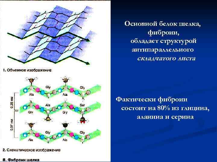 Ocновной белок шелка, фиброин, обладает структурой антипараллельного складчатого листа Фактически фиброин состоит на 80%