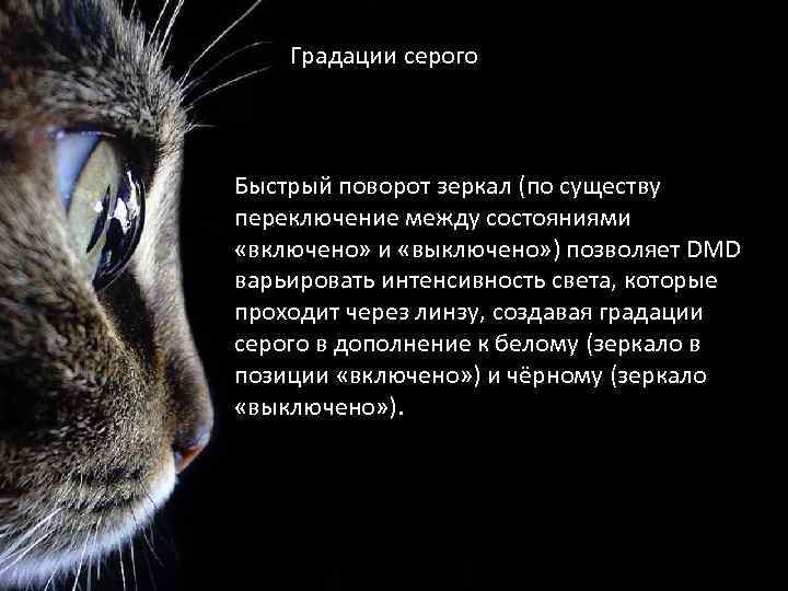 Градации серого Быстрый поворот зеркал (по существу переключение между состояниями «включено» и «выключено» )