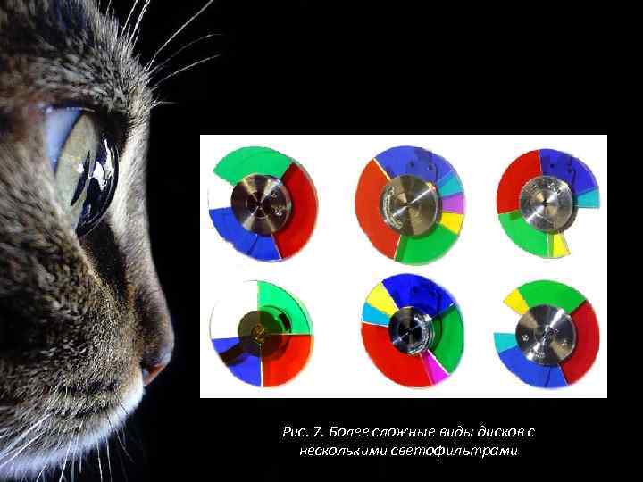 Рис. 7. Более сложные виды дисков с несколькими светофильтрами 