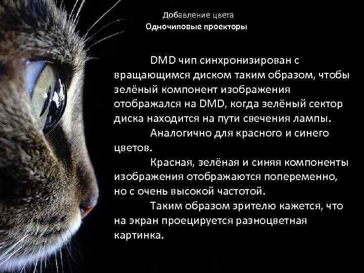 Добавление цвета Одночиповые проекторы DMD чип синхронизирован с вращающимся диском таким образом, чтобы зелёный