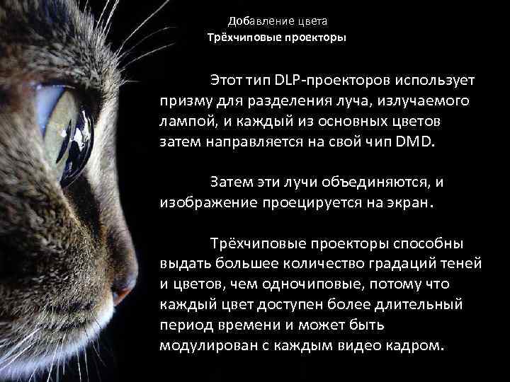 Добавление цвета Трёхчиповые проекторы Этот тип DLP-проекторов использует призму для разделения луча, излучаемого лампой,