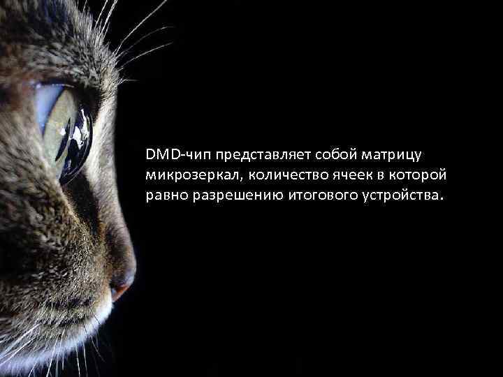DMD-чип представляет собой матрицу микрозеркал, количество ячеек в которой равно разрешению итогового устройства. 