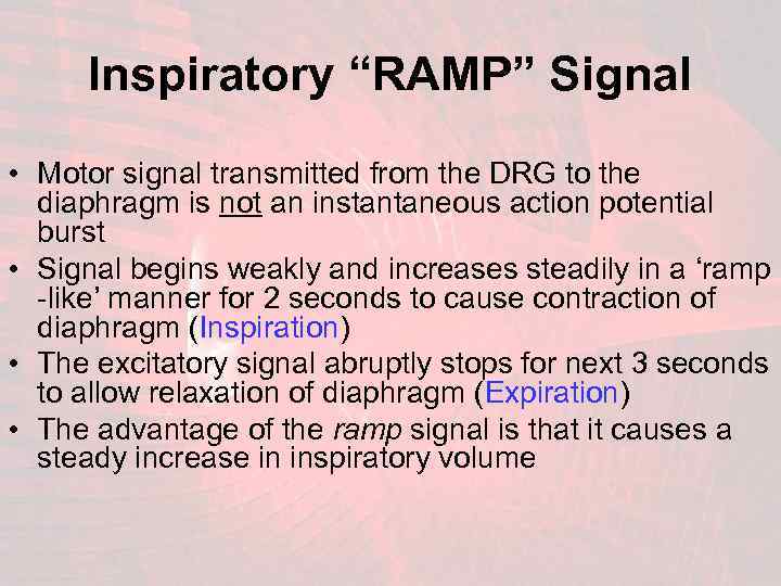 Inspiratory “RAMP” Signal • Motor signal transmitted from the DRG to the diaphragm is