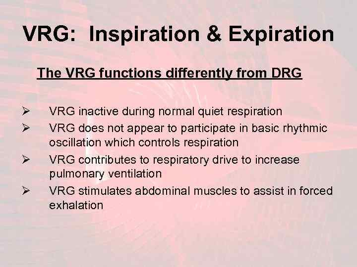 VRG: Inspiration & Expiration The VRG functions differently from DRG Ø Ø VRG inactive