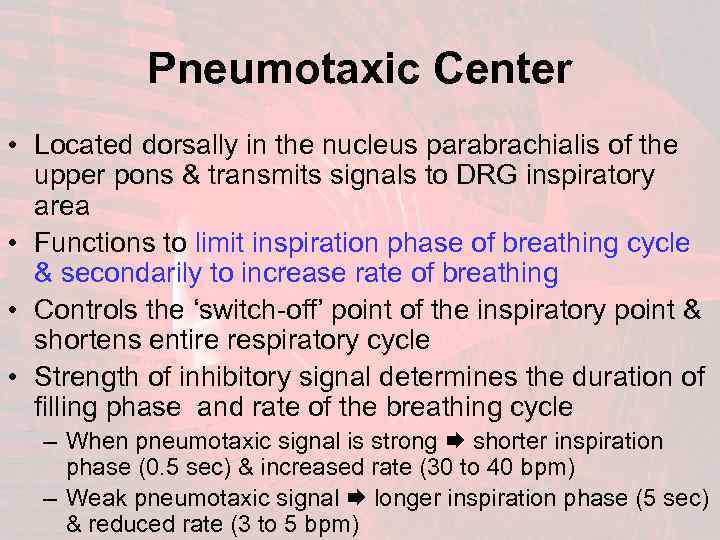 Pneumotaxic Center • Located dorsally in the nucleus parabrachialis of the upper pons &