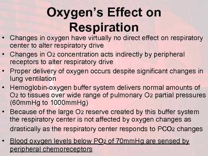 Oxygen’s Effect on Respiration • Changes in oxygen have virtually no direct effect on