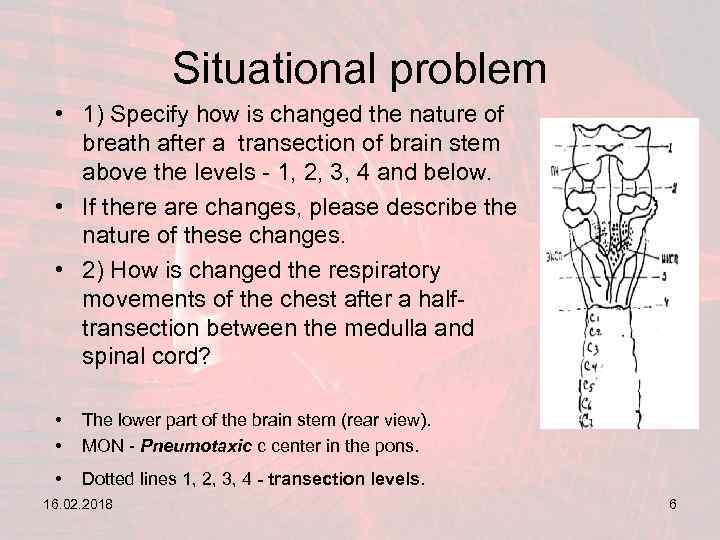 Situational problem • 1) Specify how is changed the nature of breath after a