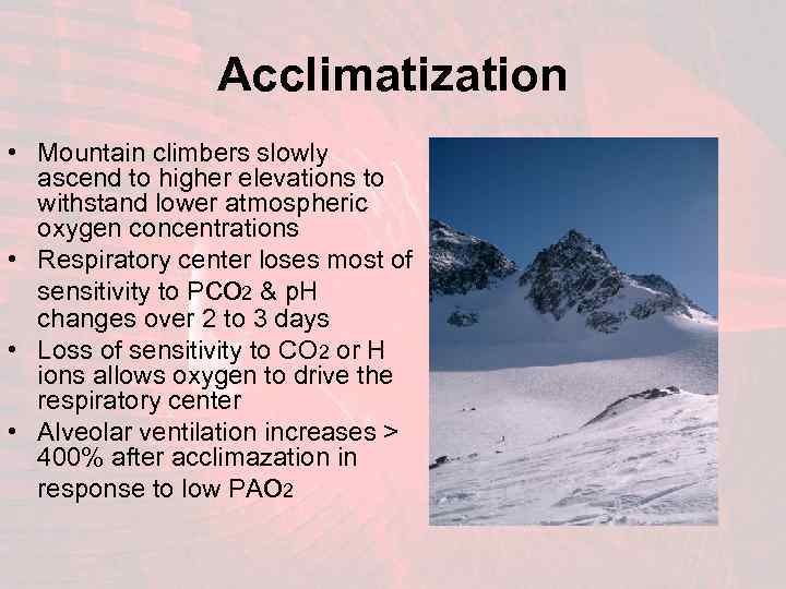 Acclimatization • Mountain climbers slowly ascend to higher elevations to withstand lower atmospheric oxygen