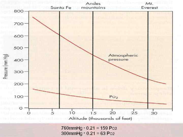 760 mm. Hg * 0. 21 = 159 PO 2 300 mm. Hg *