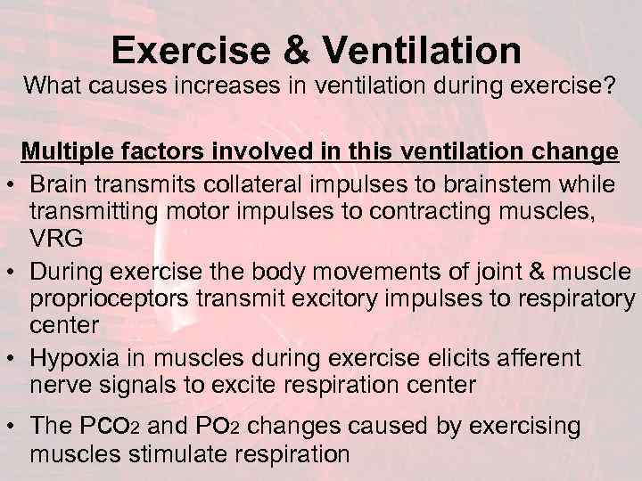 Exercise & Ventilation What causes increases in ventilation during exercise? Multiple factors involved in