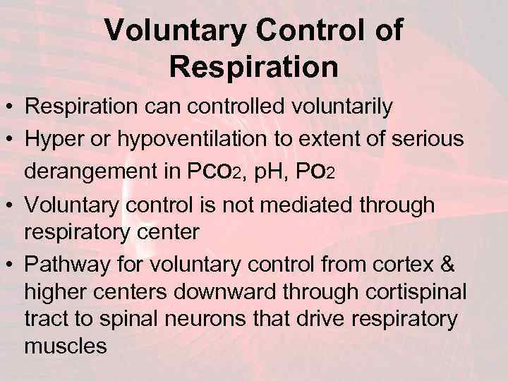 Voluntary Control of Respiration • Respiration can controlled voluntarily • Hyper or hypoventilation to