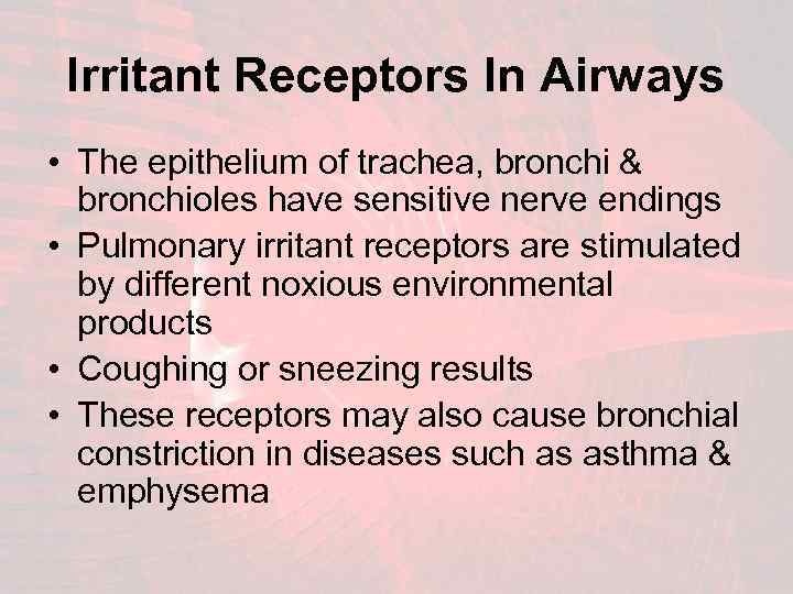 Irritant Receptors In Airways • The epithelium of trachea, bronchi & bronchioles have sensitive