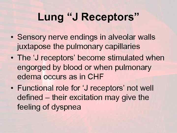 Lung “J Receptors” • Sensory nerve endings in alveolar walls juxtapose the pulmonary capillaries