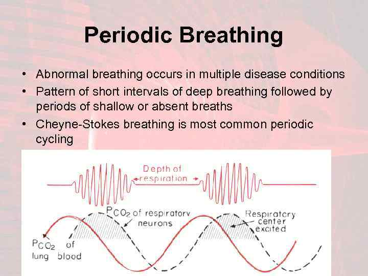 Periodic Breathing • Abnormal breathing occurs in multiple disease conditions • Pattern of short