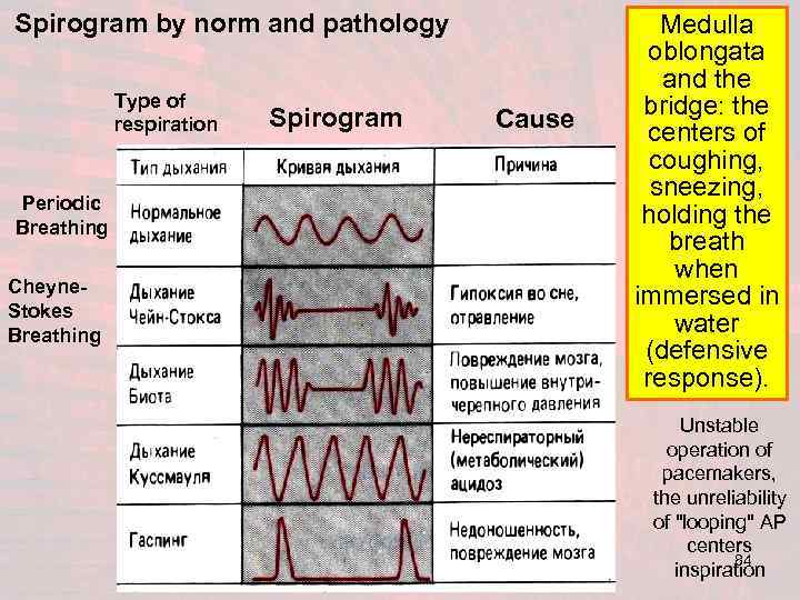 Spirogram by norm and pathology Type of respiration Periodic Breathing Cheyne. Stokes Breathing Spirogram