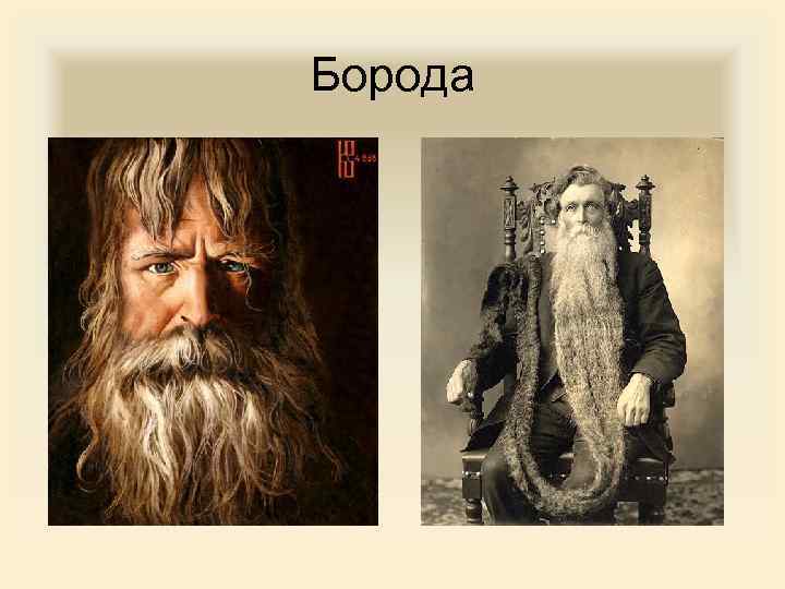 Борода 
