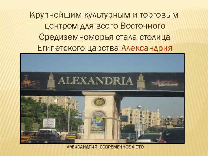 Крупнейшим культурным и торговым центром для всего Восточного Средиземноморья стала столица Египетского царства Александрия